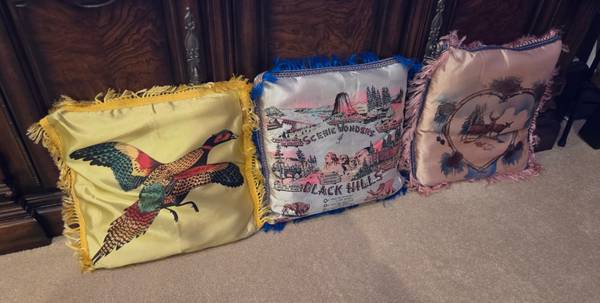 3 South Dakota Silky-Frilly Pillows 1