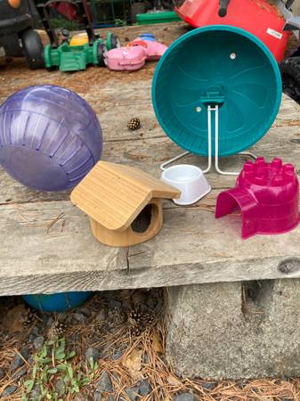 Hamster accessories 1