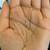 14K Yellow Gold necklace with Beautiful Pendant in shape of a Leave 6 thumbnail