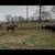 CLT Colt Starting And Training 9 thumbnail