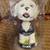 Milwaukee Brewer Bobbleheads 3 thumbnail