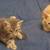Kittens 1 thumbnail