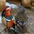 Mandarin ducks exotic wild waterfowl cold hardy! 1 thumbnail