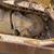 2007 Cat D6T XW Dozer 14 thumbnail