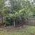 LEAF CLEANUP/Bush trimming/Mulch/Storm clean up/ yard clean up 16 thumbnail