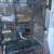 Bird Cage 3 thumbnail