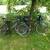 SCHWINN BIKES 4 thumbnail