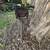 Trek 24 inch Mountain Bike 4 thumbnail
