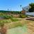 Peaceful, Cozy Room in a Plant-Filled 2BR Home – Available NOW! 17 thumbnail