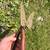Misc. Garden Hand Tools, Yard Tools, Tree Trimming 4 thumbnail