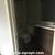 Updated 2BR 2 Bath with Everything Close By! 11 thumbnail