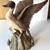 VTG Large 15"h Ski Country 1978 Pintail Duck Decanter-EMPTY 1 thumbnail