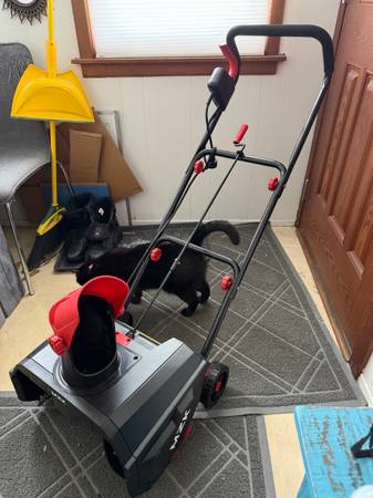 Electric Snowblower 1