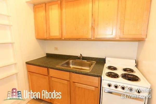 $1,350 / 400ft2 - $300 OFF FIRST MONTH'S RENT! Lavish Studio, 1 Bath in Lincoln Park (Lincoln Park)64041475510019122