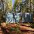 7175 Redwood Retreat Road. 35 Acres Gilroy, dwellings, water system, 15 thumbnail