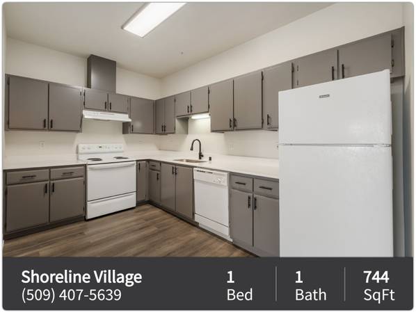 $1,350 / 1br - 744ft2 - Live Large- Open Floor Plan, Tall Cielings, and Brand-New Style! (Richland - Near 240 Bypass)63803243333761122