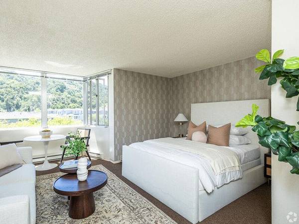 Captivating Senior Studio  Yoga, Salon, and Meals Await! 1