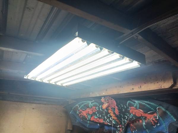 Shop Light Fixtures 1