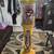 5 foot tall lollipop gumball machine 1 thumbnail