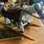 Rocking horse pony size wood with real  leather saddle 3 thumbnail