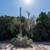 3.66 ACRES IN EL CENTRO — READY FOR YOUR VISION! 4 thumbnail