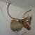Taxidermy Caribou Mount 1 thumbnail