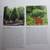 Book: Gardening in Miniature by Janit Calvo 3 thumbnail