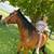 Horse Riding Lessons 3 thumbnail