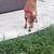 Jersey/Angus Steer Calf 4 thumbnail