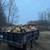 Seasoned firewood 1 thumbnail