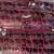 2 Piece Kathy Van Zeeland Croco Burgundy Rolling Suitcases 7 thumbnail