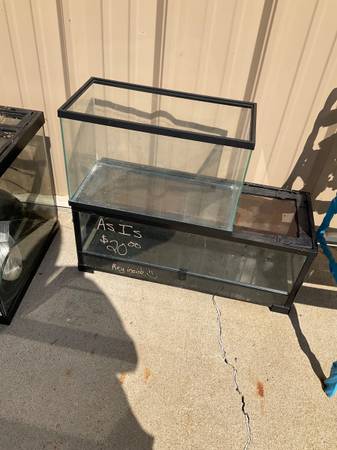2 terrariums (Coal City)63844236430337121