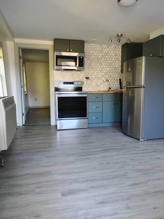 $1,650 / 1br - 800ft2 - Acogedora y pequeña en aldea encantadora (Saxtons River)63976980247938124