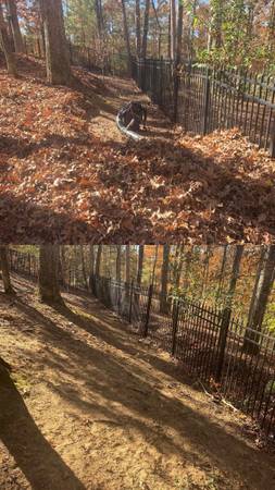 Aeration,Seeding,Gutter Cleaning,Grass Cutting,Roofing,Painting,Pressure Washing 1