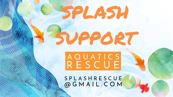 ISO 20 GAL LONG 1