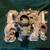 1956 Oldsmobile V8 2bbl intake and carburetor 7 thumbnail