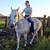 Grade 16yr old 15.HH grey QH mare-  trade for filly. 7 thumbnail