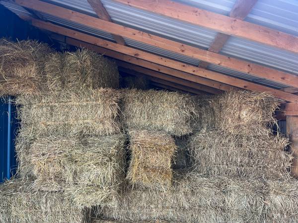 First Cutting Small Square Bales for Sale 1