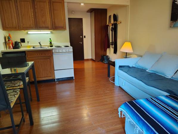 $146,000 / 1br - Cozy Mt Baker Glacier Ski base Condo for sale (Glacier, WA)63935321919747122