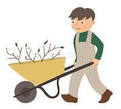 Yard Service-Reliable, Affordable & Shows Up! 1