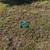 Cemetery Burial Spaces 10 thumbnail