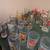 Assorted Beer Glasses 1 thumbnail
