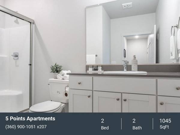 $1,737 / 2br - 1045ft2 - Pamper Your Pooch at 5 Points' 24-Hr Dog Spa & Bark Park! (Fircrest)63999315831683123