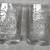 McDonald’s Collector Disney Millennium 2000 Mickey Mouse Glasses 7 thumbnail