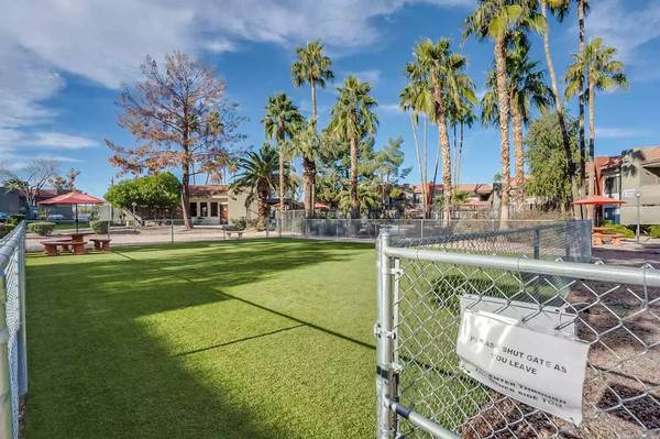 $1,599 / 2br - 980ft2 - ¡Juega un partido de tenis en Ovation at Tempe! Cancha de tenis (Tempe)63623896842753123