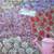 3 Flower & Springtime Flags / Banners 4 thumbnail