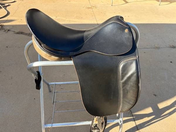 Ashley and Clarke "Carlisle" Saddle 1
