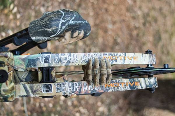 Bear Motive 6 compound bow 1