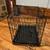 small dog crate 1 thumbnail