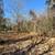3 Acres For Sale! 16 thumbnail